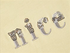 Name It double cream paillet top